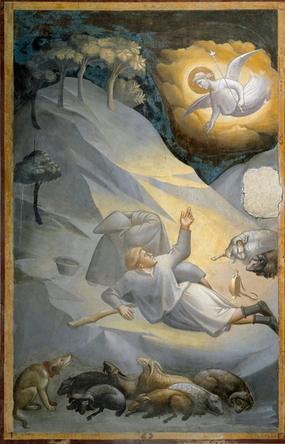 Die Verkündigung an die Hirten, aus dem Zyklus des Lebens der Jungfrau (Fresko) von Taddeo Gaddi
