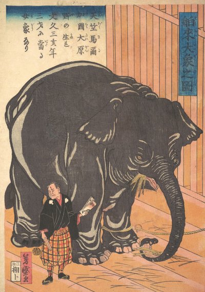 Ansicht des großen importierten Elefanten, 1863 Bunkyo 3, 4. Monat von Taguchi Yoshimori