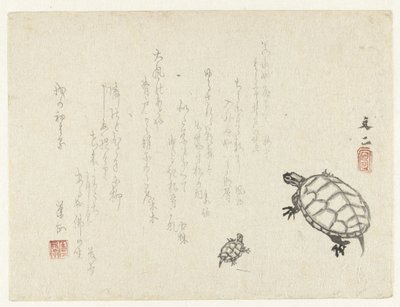 Zwei Schildkröten von Tani Bunji