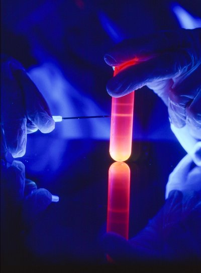 Extraktion von Nukleotiden der RNA aus einem Kunststoff-Zentrifugenröhrchen von Ted Spiegel