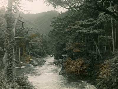 Herbstwald in der Yamanaka-Region, um 1900 - 1915 von Teijiro Takagi
