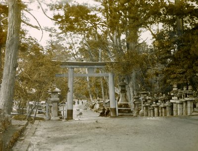 Eingang zum Laternen-Schrein im Kasauga Taisha Park, Nara, um 1900 - 1915 von Teijiro Takagi