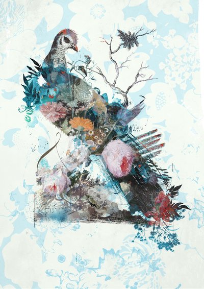 Wildness Rework von Teis Albers