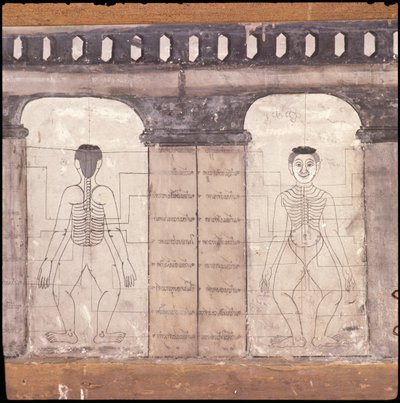 Darstellung von Massagepunkten am menschlichen Körper (Wandmalerei) von Thai School