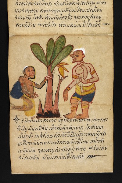 Satra über Wahrsagerei und Ratschläge für ein glückliches und gesundes Leben (Papierfaltbuch) von Thai School