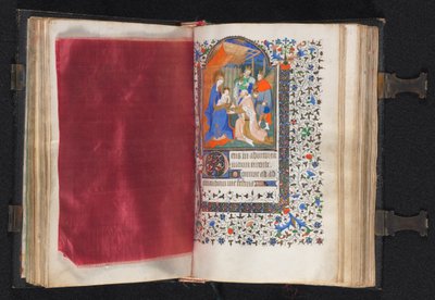 Stundenbuch Gebrauch von Paris: Fol. 66v, dekorierter Rand, ca. 1420 von The Bedford Master