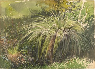 Eine Ecke einer Wiese mit Brunnengras, ca. 1870 von Themistocles von Eckenbrecher