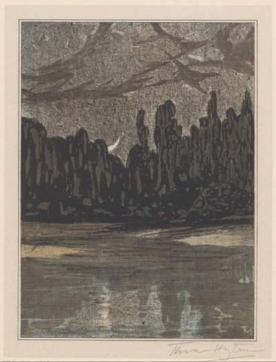 Nächtliche Landschaft mit Zugvögeln von Theo van Hoytema (signed by artist)