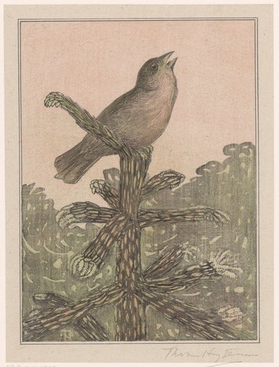 Singender Vogel auf Nadelbaum von Theo van Hoytema (signed by artist)