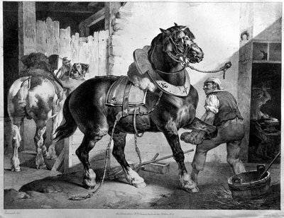 Beschlag eines Zugpferdes von Theodore (after) Gericault