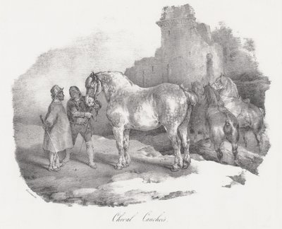 Cheval Cauchois (Einheimisches Pferd aus Caux, Normandie) von Theodore Gericault