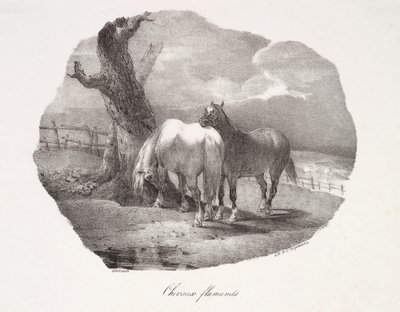 Flämische Pferde von Theodore Gericault