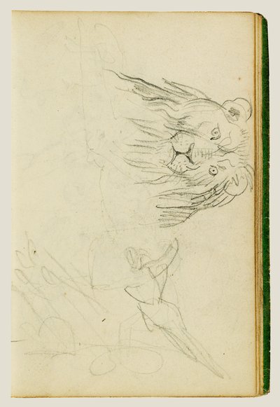 Frontalansicht eines sitzenden Löwen von Theodore Gericault