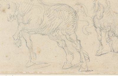 Pferdestudien von Theodore Gericault