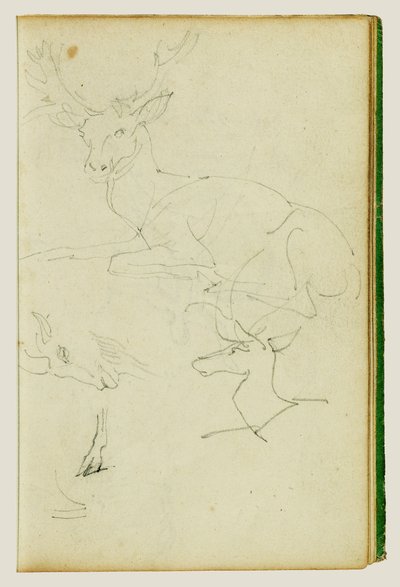 Studien eines sitzenden Hirsches, eines Rehkitzes, eines Ziegenkopfes von Theodore Gericault
