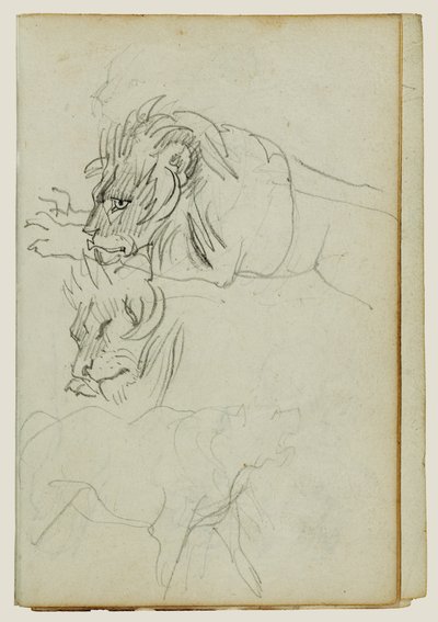 Drei Löwenstudien von Theodore Gericault