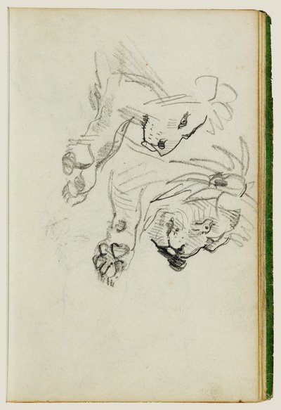 Zwei Löwenstudien von Theodore Gericault