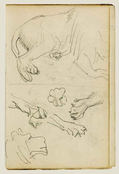 Verschiedene Studien von Löwenbein, Pfoten und Kopf von Theodore Gericault