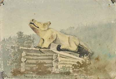 Indianergrab. Wolfstotem über dem Grab des Medizinmannes, Wrangell, ca. 1880-1914 von Theodore J. Richardson