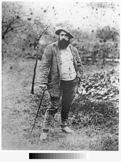 Claude Monet in seinem Garten, 1880 (Silberdruck) von Theodore Robinson