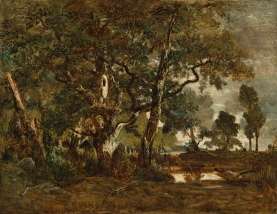Wald von Fontainebleau, Gruppe hoher Bäume mit Blick auf die Ebene von Clair-Bois am Rand von Bas-Bréau von Theodore Rousseau