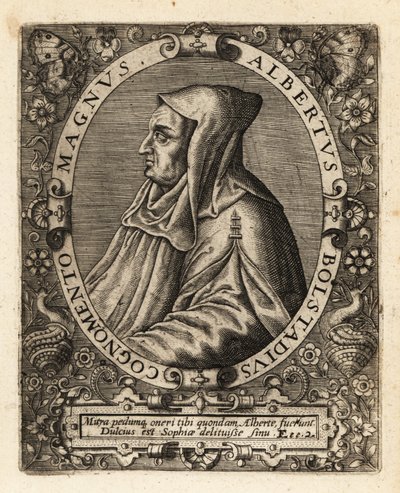 Albertus Magnus, deutscher katholischer Bischof von Theodore de Bry