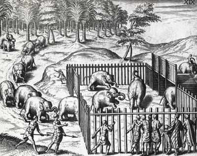 Elefantenjagd im Königreich Pegu, jetzt Myanmar, von Theodor de Bry, Gravur von Theodore de Bry