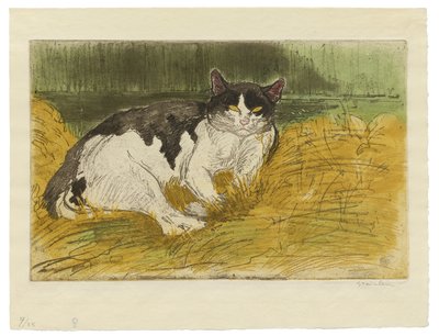 Alter Schwarz-Weiß-Kater im Gras von Théophile Alexandre Steinlen