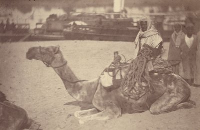 [Ein nordafrikanischer Mann auf einem Kamel am Ufer des Nils] von Théodule Devéria