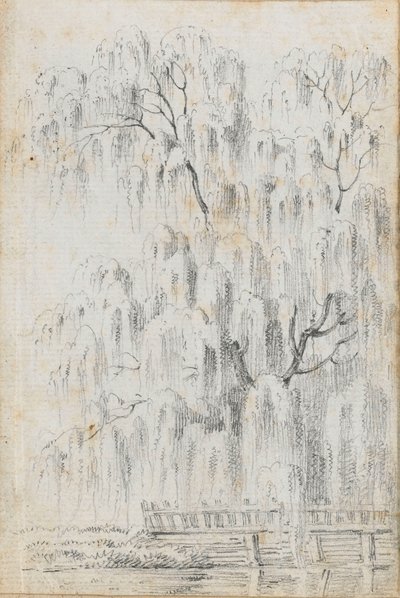 Studie eines Baumes, der über Wasser bei Merton hängt (recto) von Thomas Baxter