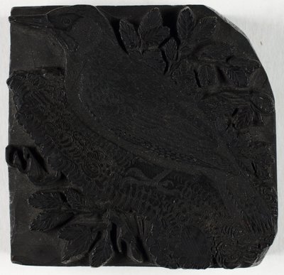 Holzschnitt für Der Grünspecht, aus A History of British Birds von Thomas Bewick