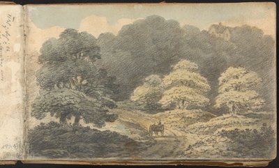 Album mit Landschafts- und Figurenstudien: Landschaftsszene mit Pferd und Wagen in der Nähe von Tunbridge Wells von Thomas Bradshaw