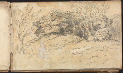 Album mit Landschafts- und Figurenstudien: Skizze von Bäumen und Felsen von Thomas Bradshaw