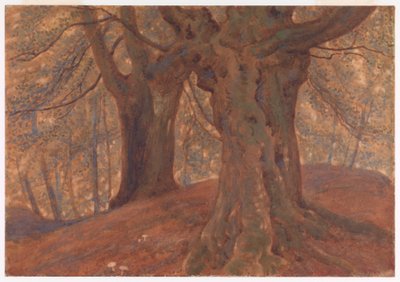 Burnham Beeches von Thomas Charles Farrer