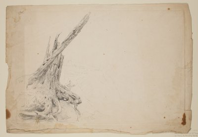 Gebrochener Baumstamm von Thomas Cole