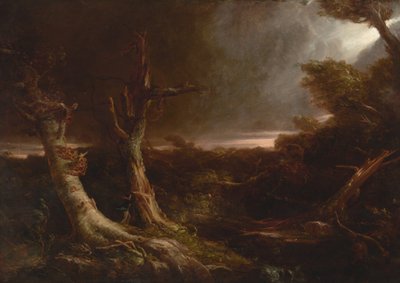 Tornado in einem amerikanischen Wald von Thomas Cole