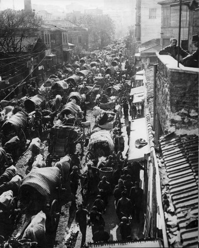 Flüchtlinge strömen nach Konstantinopel, warten auf ein Schiff nach Asien während der türkischen Revolution, 1909 von Thomas E. and Horace Grant Grant