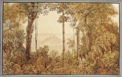 Blick über Rio de Janeiro vom Tijuca-Wald von Thomas Ender