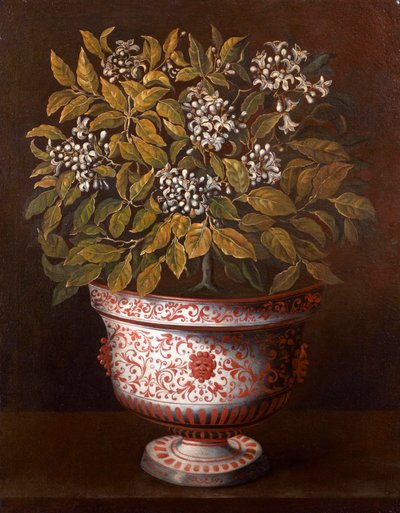 Terrakottavase mit einem blühenden Orangenbusch von Thomas Hiepes