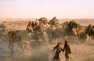 Stammeskinder mit Kamelkarawane, Kuchi-Karawanen, pausiert an Bewässerungsgraben von Thomas J. Abercrombie