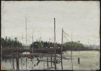 Überflutetes Land von Tom Thomson