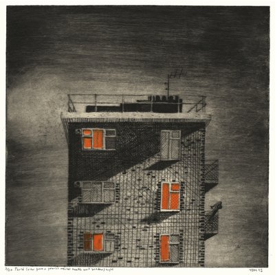 Parlé (Blick aus einem forensischen psychiatrischen Fenster (Nacht)) von Thomas MacGregor