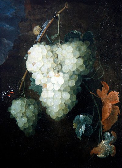 Stillleben mit Trauben, einem Admiral und einer Schnecke von Thomas Mertens
