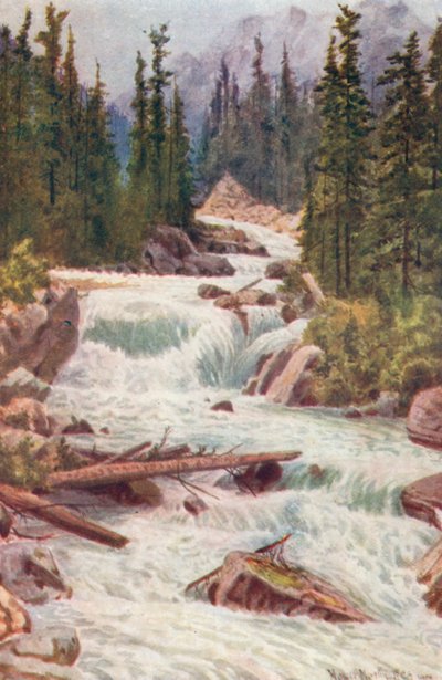 Wasserfälle am Illecillewaet River, Selkirk Mountains, British Columbia von Thomas Mower Martin