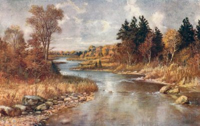Im Elchland, nahe Lake Superior von Thomas Mower Martin