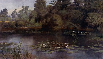 Kew Gardens: Der Seerosenteich (Farblithografie) von Thomas Mower Martin