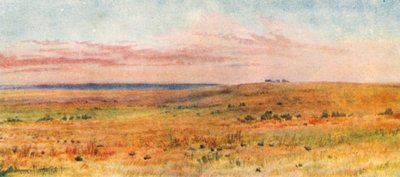  von Thomas Mower Martin