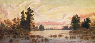  von Thomas Mower Martin