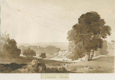 Cannock Chase von Thomas Peploe Wood