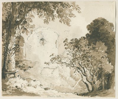 Chartley Schloss von Thomas Peploe Wood